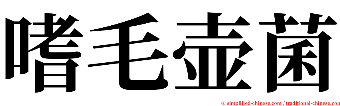 嗜毛壶菌 serif font