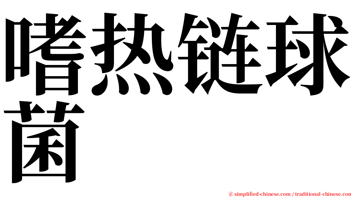 嗜热链球菌 serif font