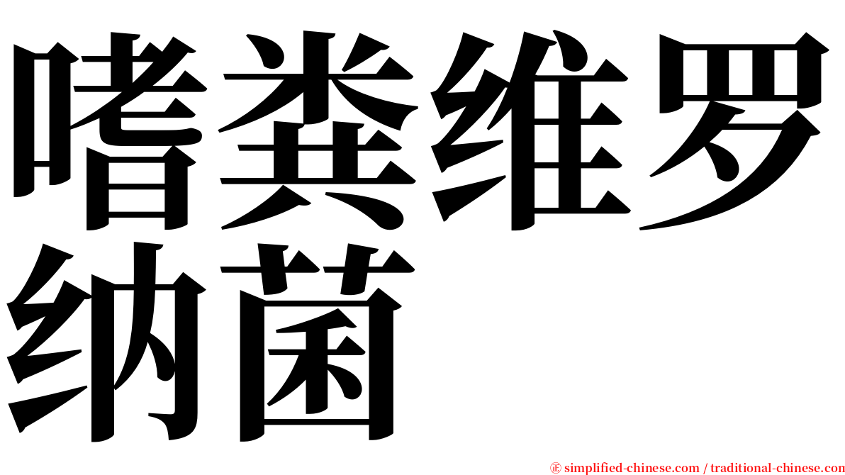 嗜粪维罗纳菌 serif font