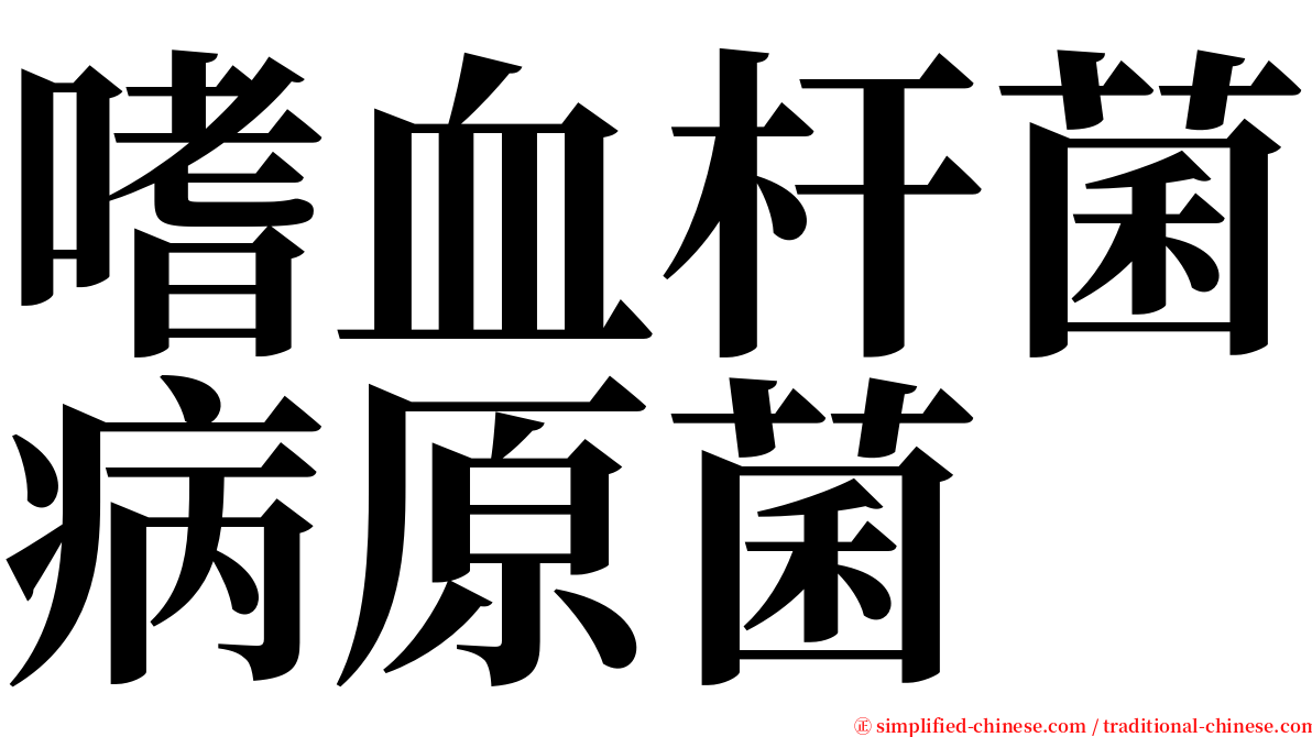 嗜血杆菌病原菌 serif font