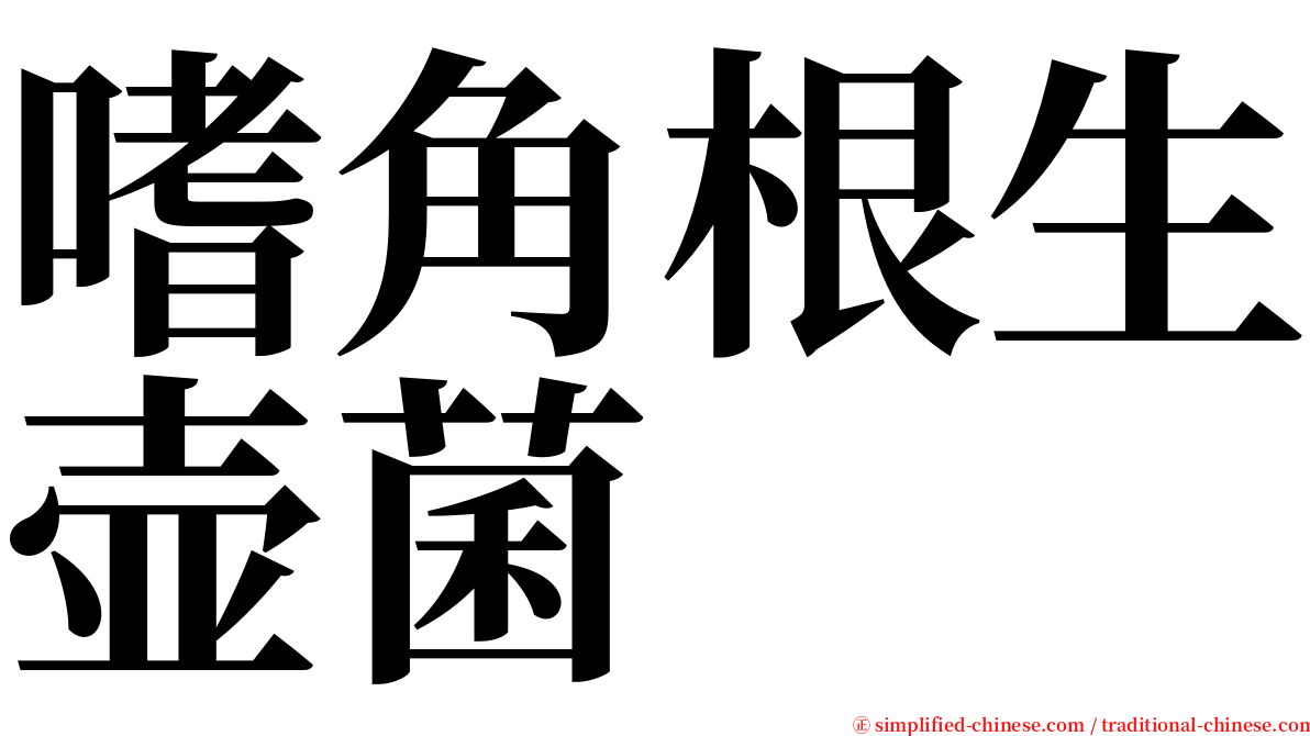 嗜角根生壶菌 serif font