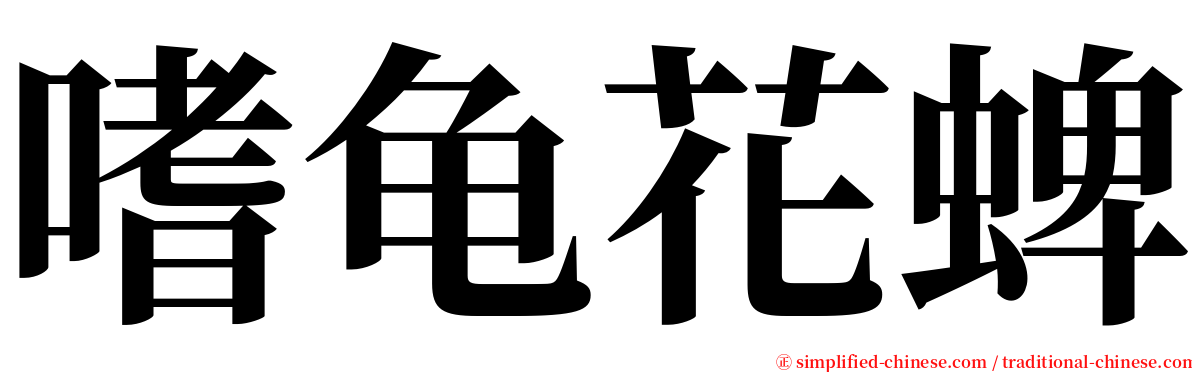 嗜龟花蜱 serif font