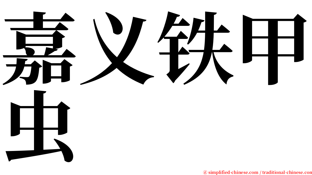 嘉义铁甲虫 serif font