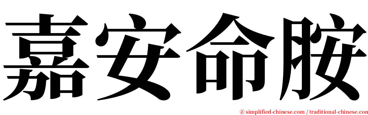 嘉安命胺 serif font