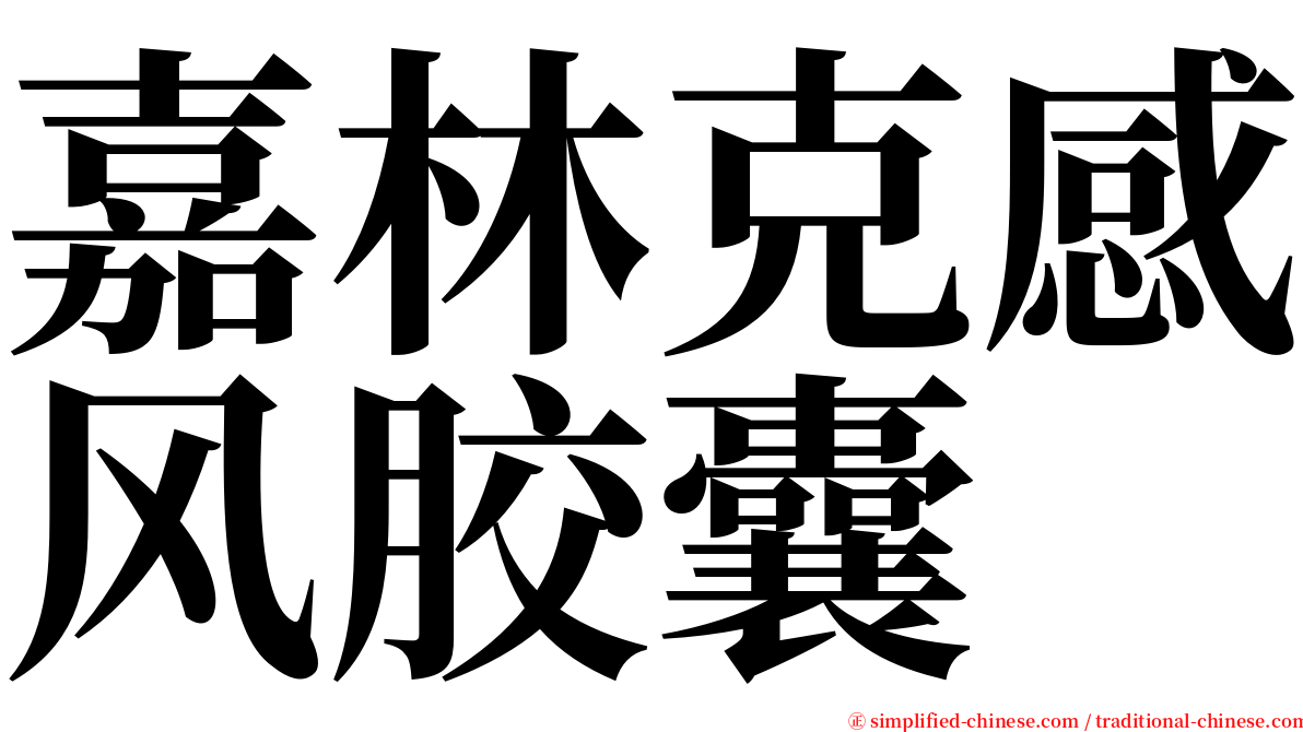 嘉林克感风胶囊 serif font