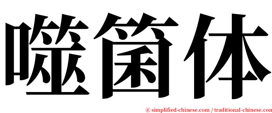 噬箘体 serif font