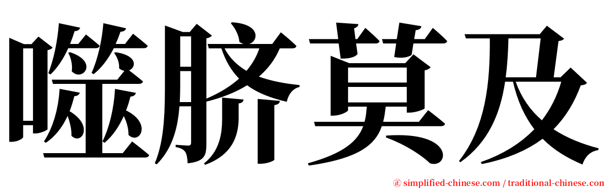 噬脐莫及 serif font