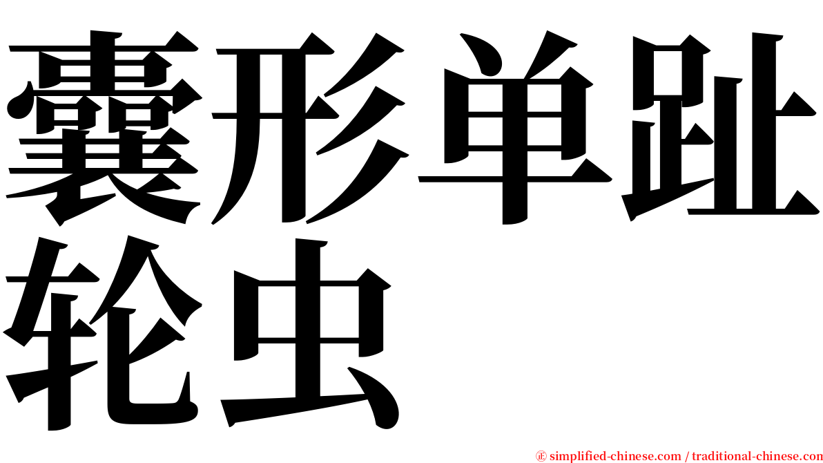 囊形单趾轮虫 serif font