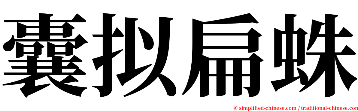 囊拟扁蛛 serif font