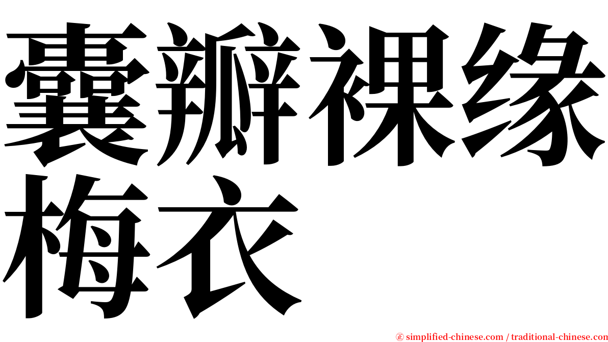 囊瓣裸缘梅衣 serif font