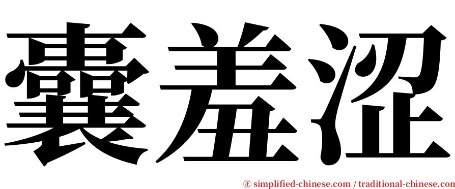 囊羞涩 serif font