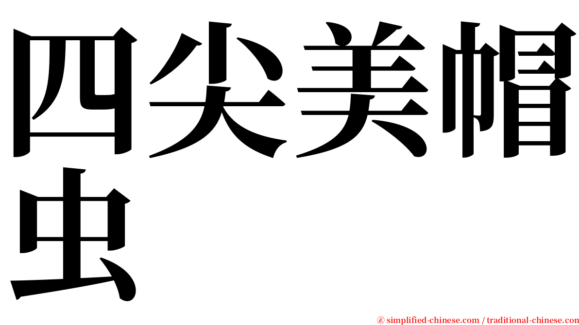 四尖美帽虫 serif font