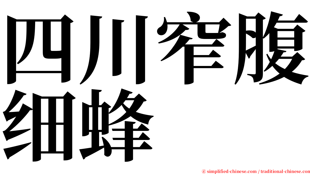 四川窄腹细蜂 serif font