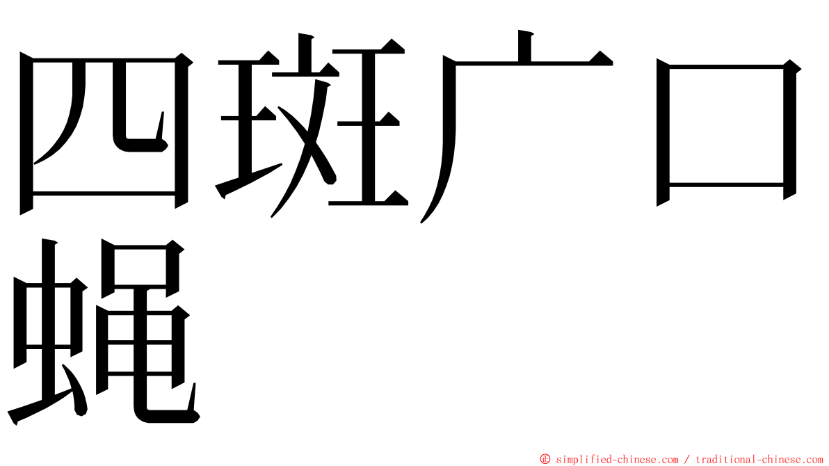 四斑广口蝇 ming font