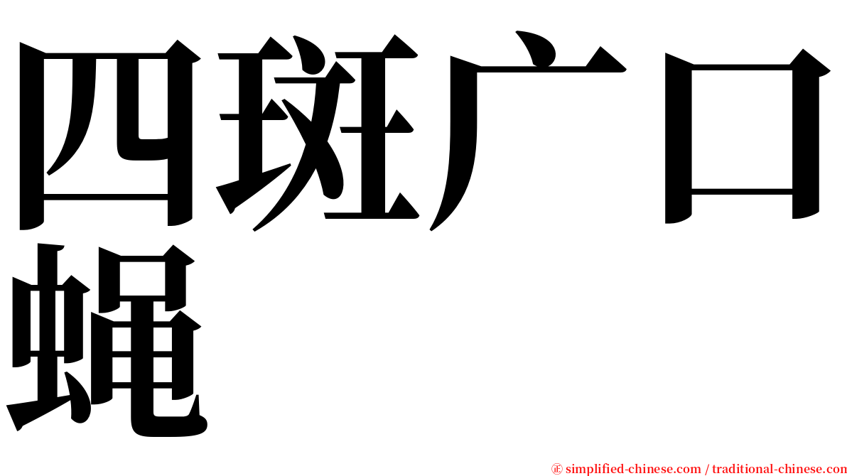 四斑广口蝇 serif font