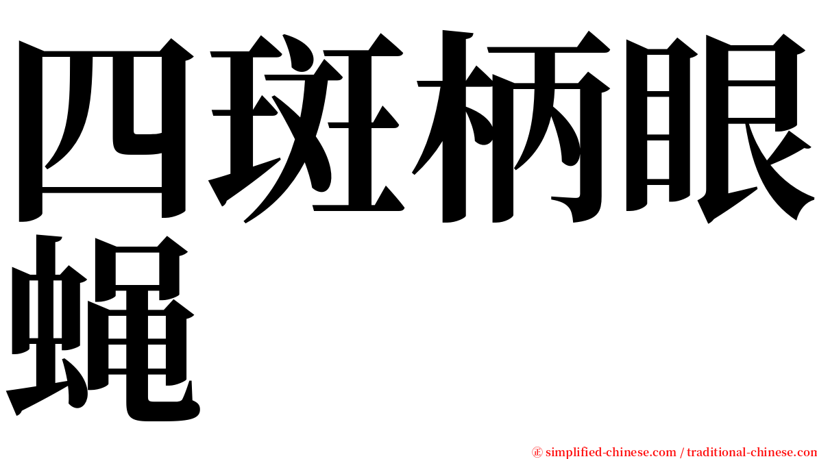 四斑柄眼蝇 serif font