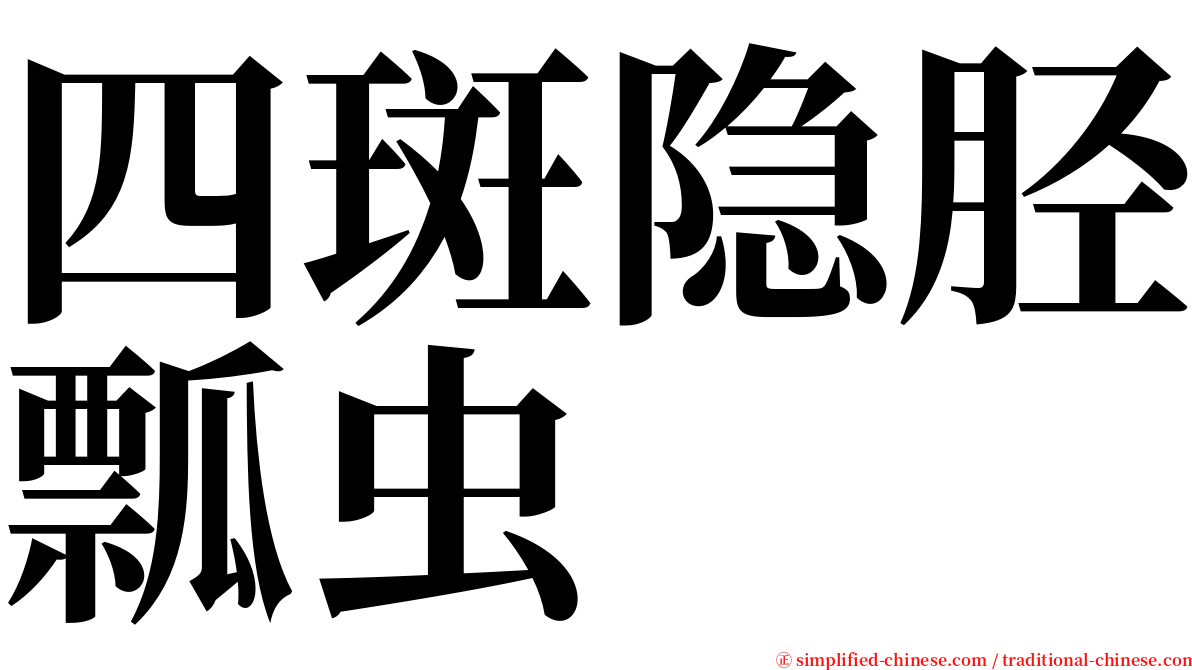 四斑隐胫瓢虫 serif font