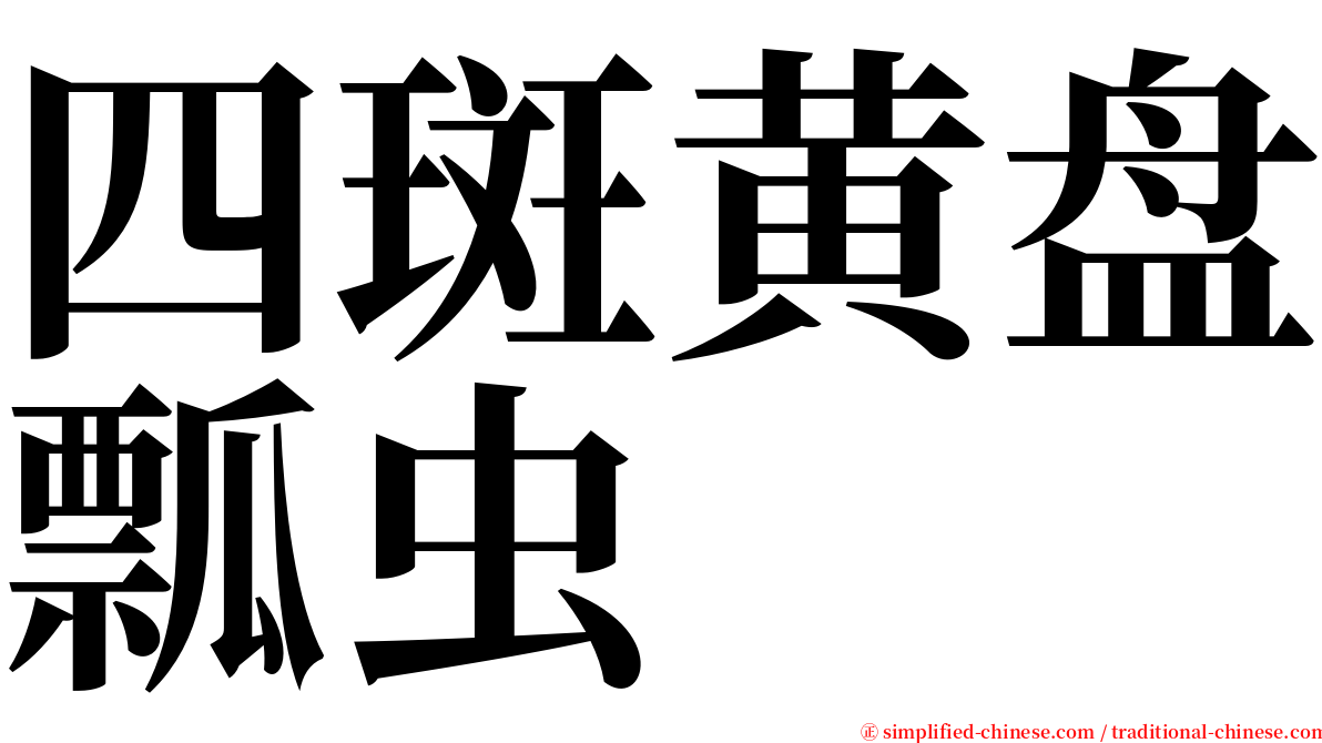 四斑黄盘瓢虫 serif font