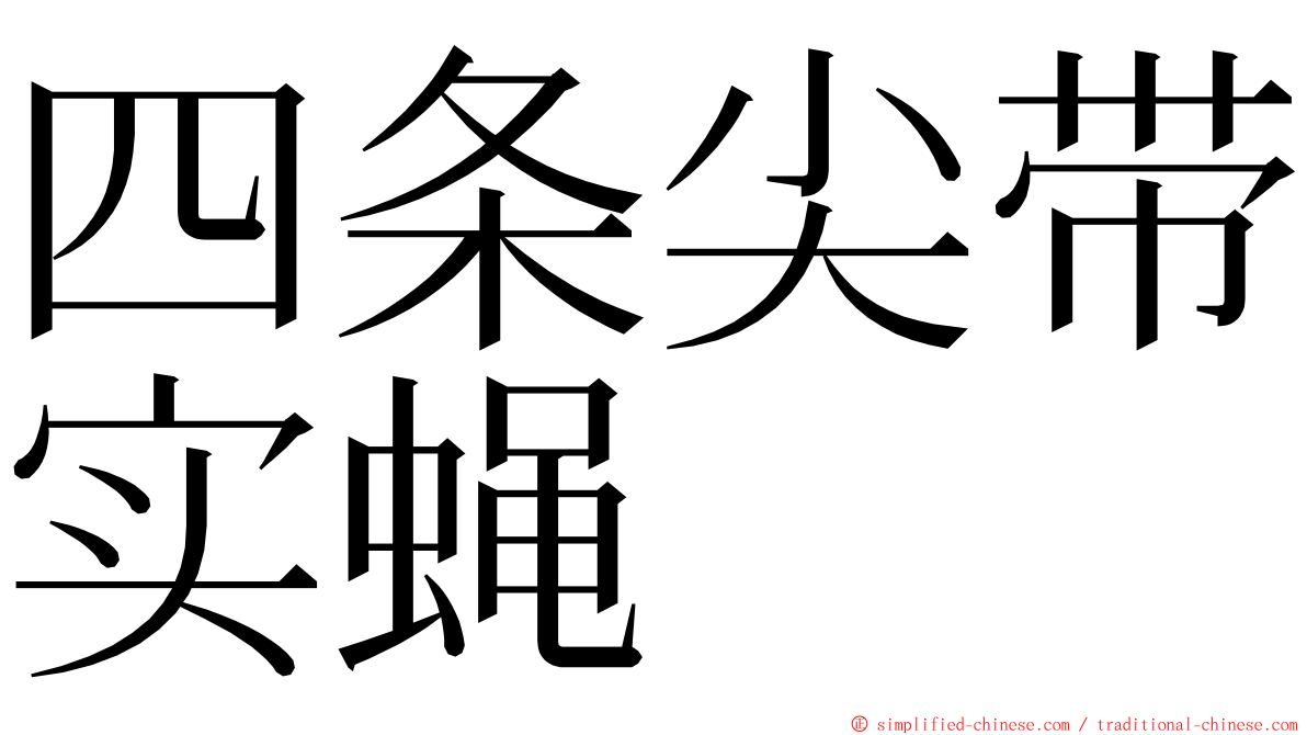 四条尖带实蝇 ming font