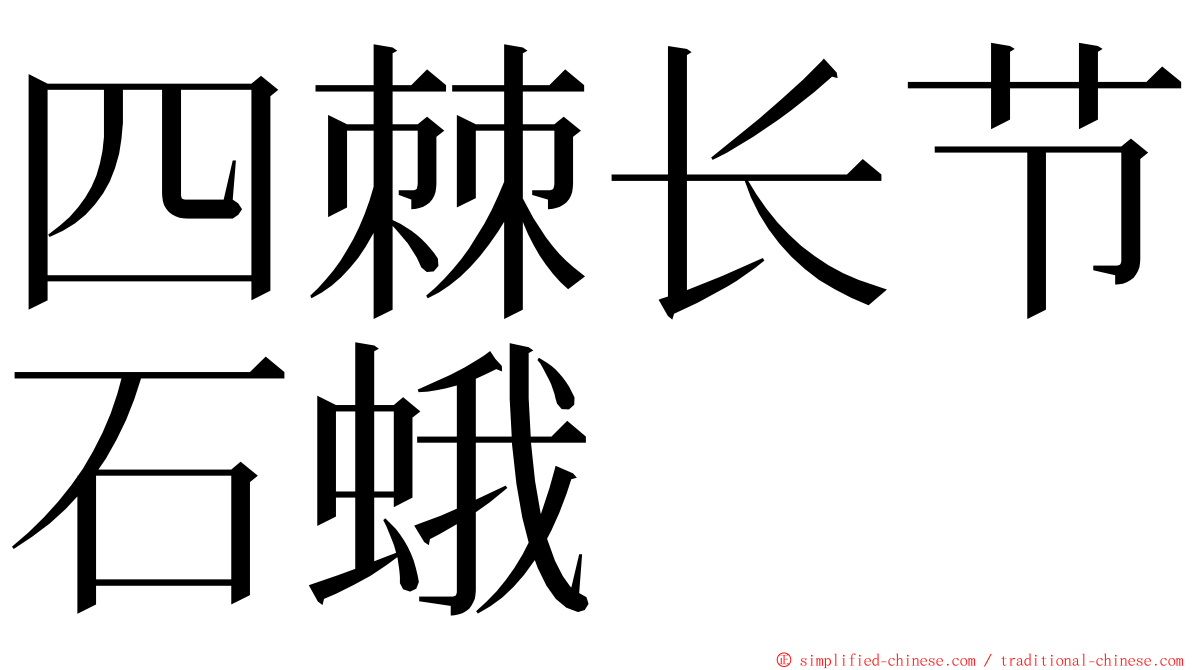 四棘长节石蛾 ming font