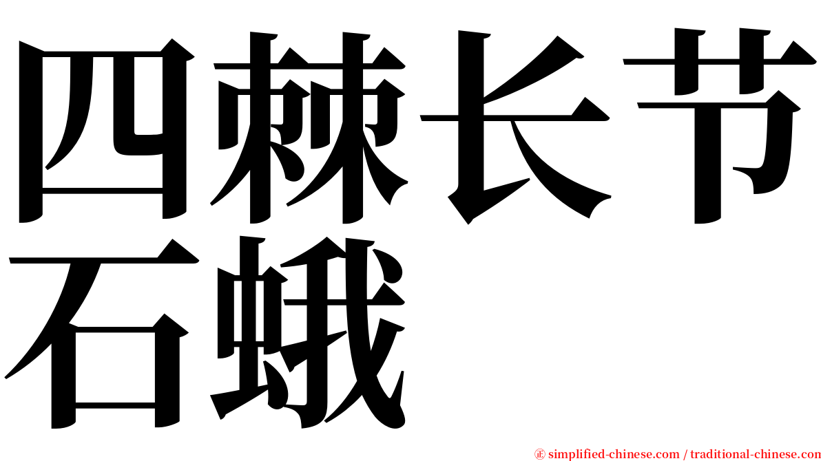 四棘长节石蛾 serif font