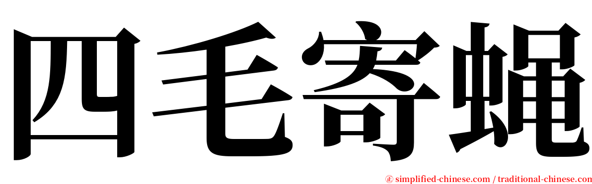 四毛寄蝇 serif font