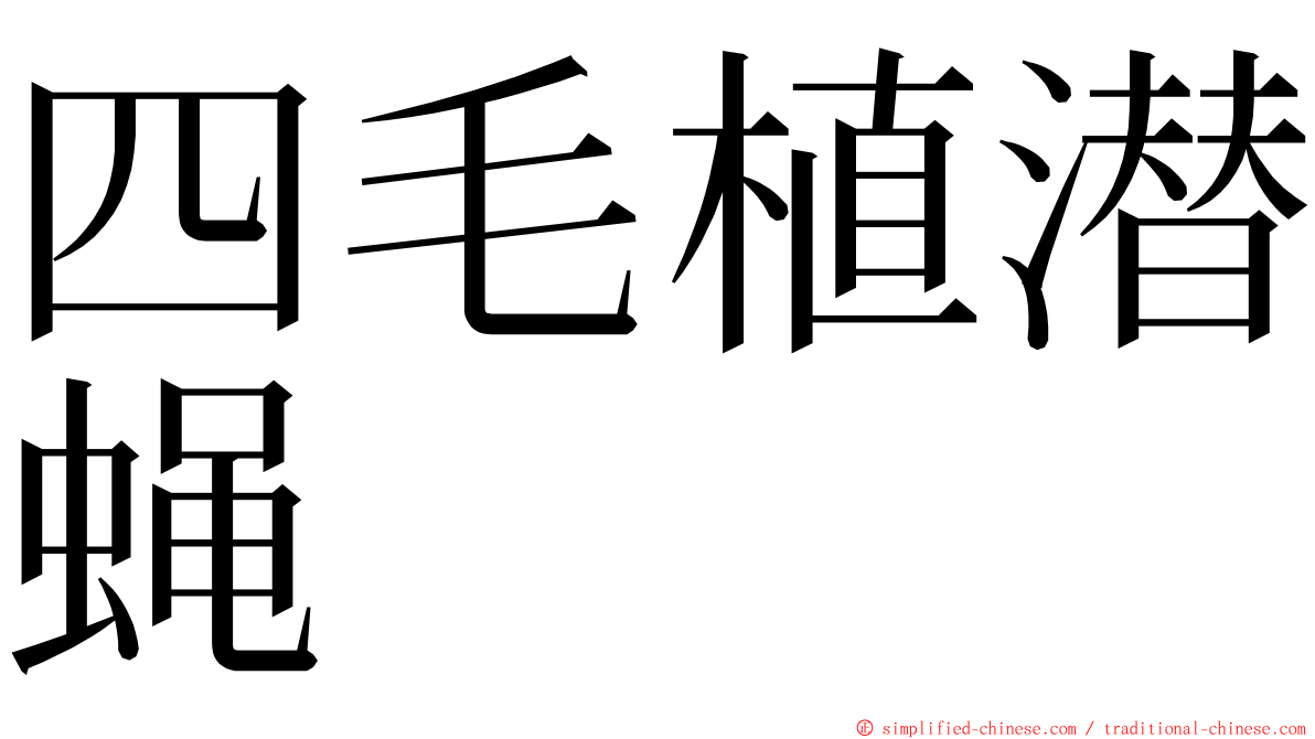 四毛植潜蝇 ming font