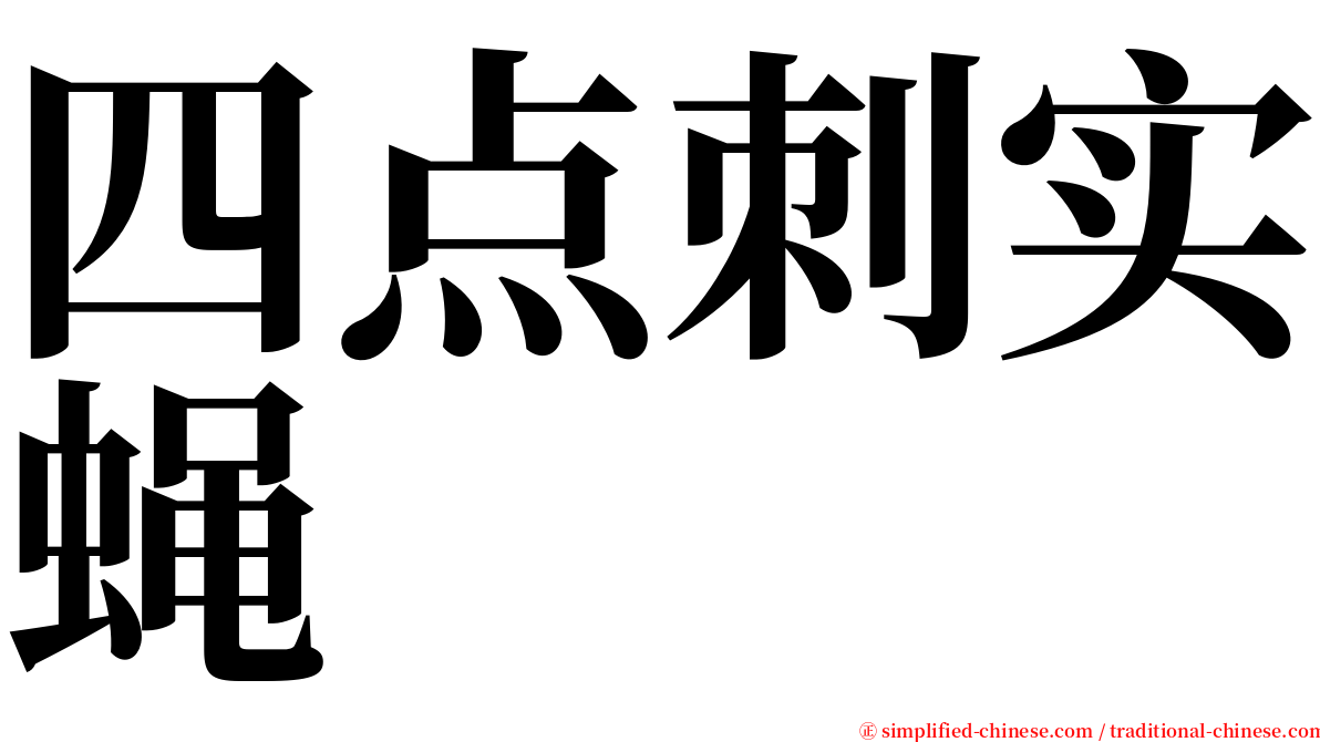 四点刺实蝇 serif font