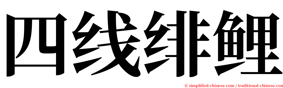 四线绯鲤 serif font