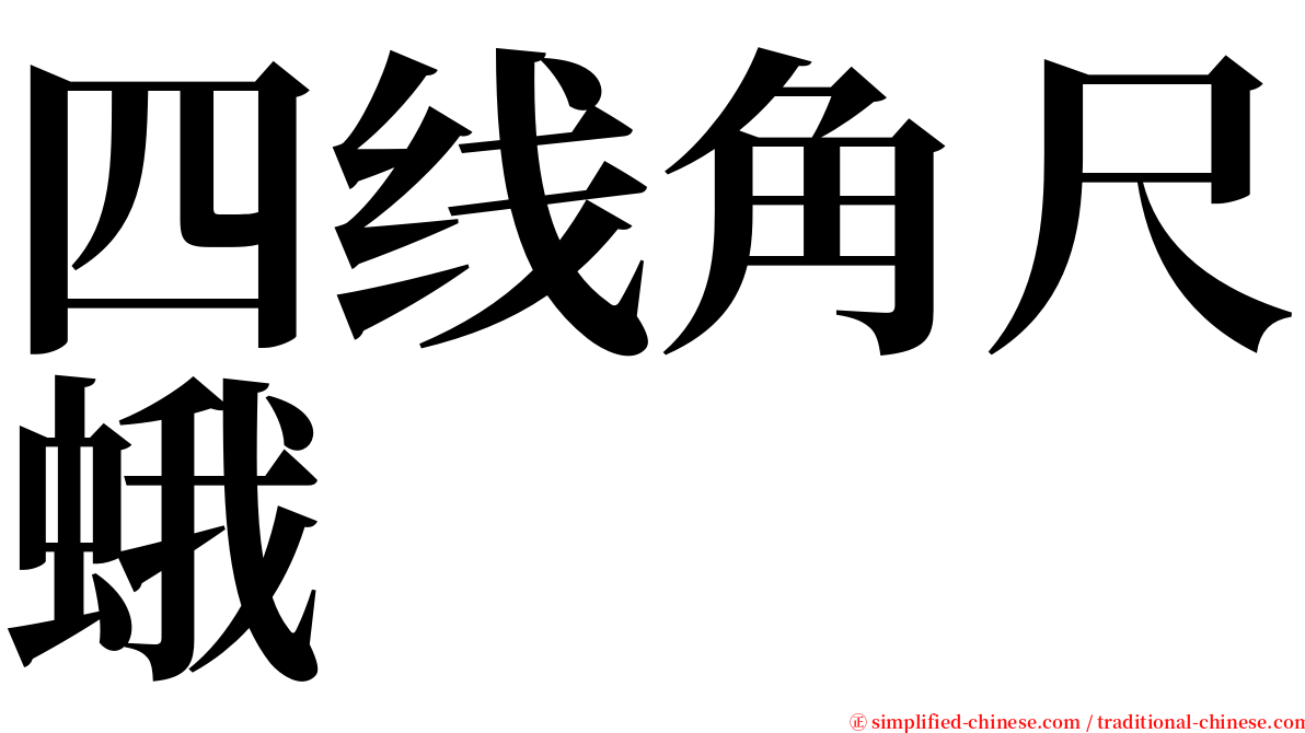 四线角尺蛾 serif font