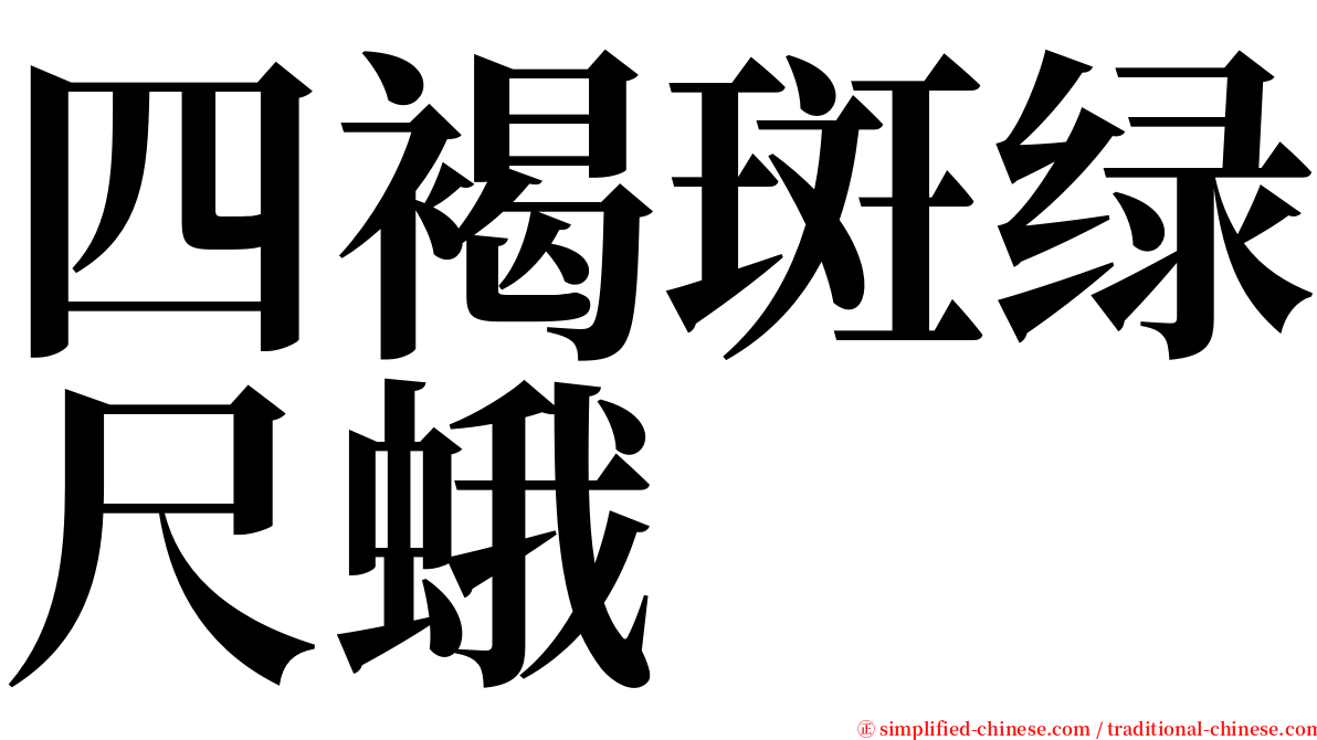 四褐斑绿尺蛾 serif font