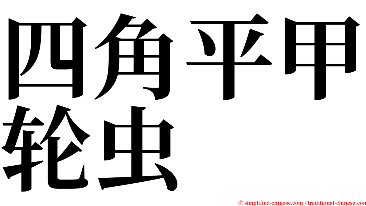 四角平甲轮虫 serif font