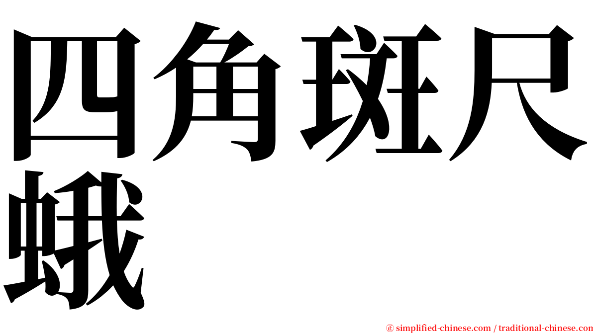 四角斑尺蛾 serif font