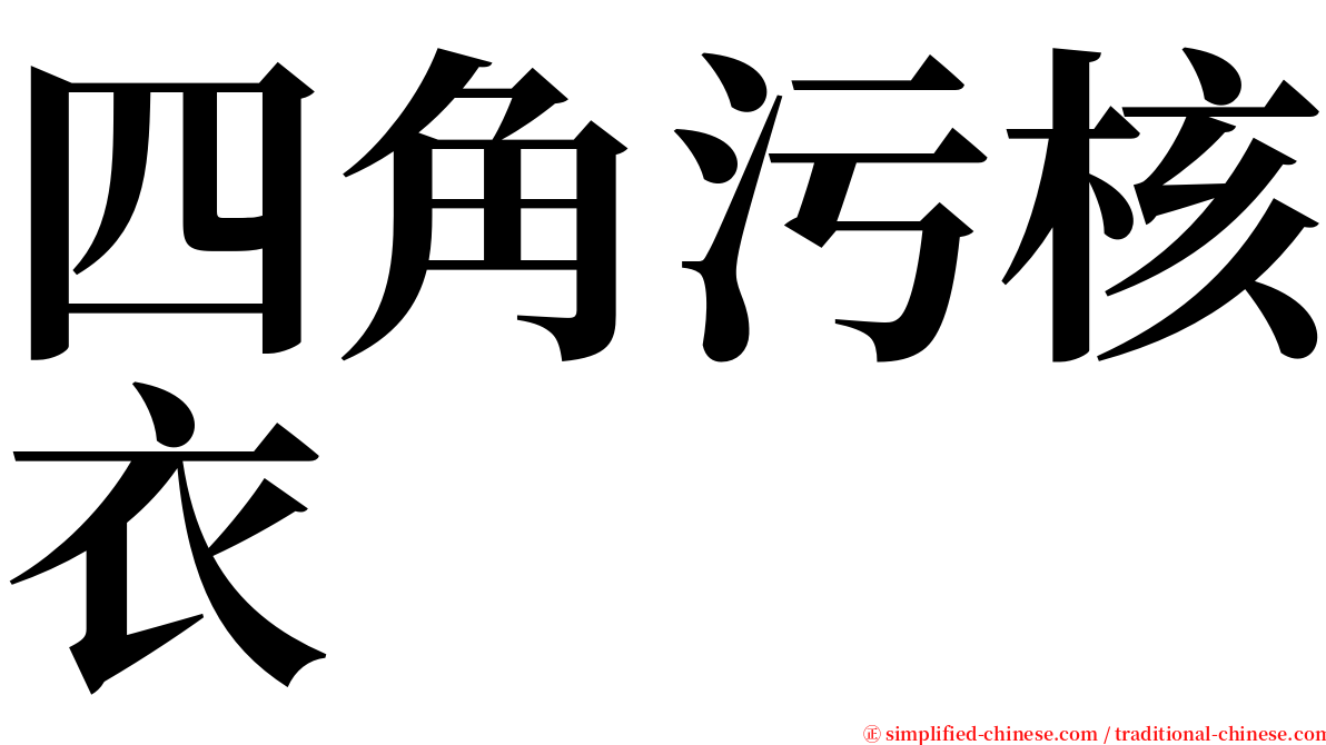 四角污核衣 serif font