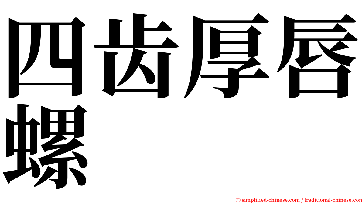 四齿厚唇螺 serif font