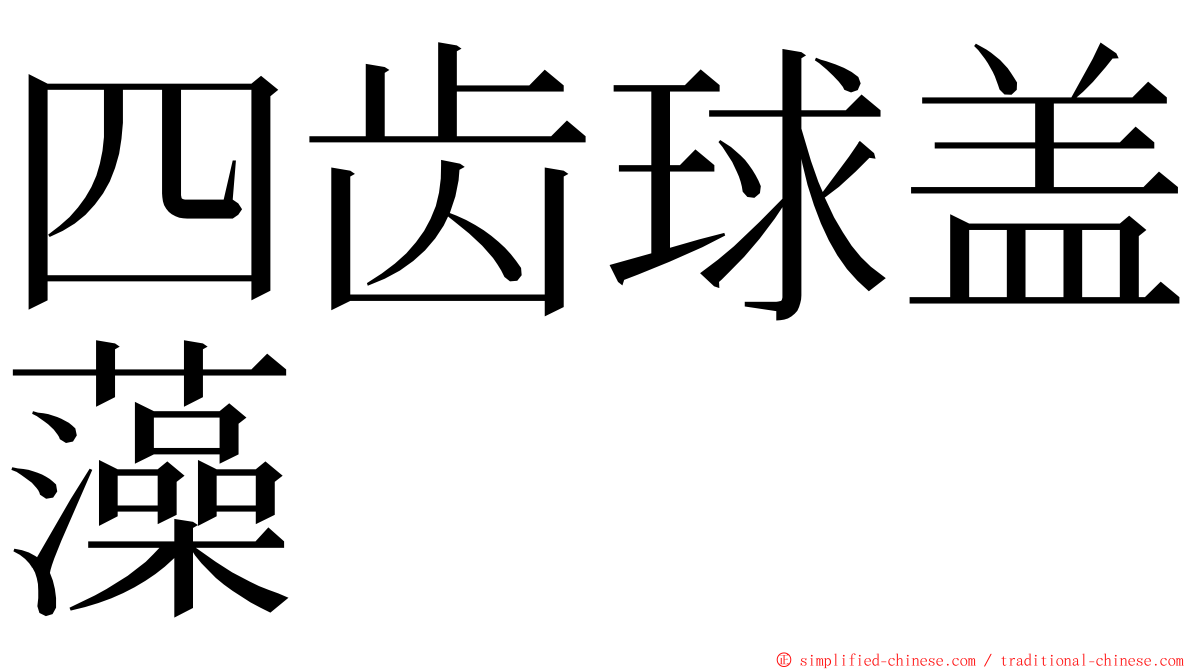 四齿球盖藻 ming font