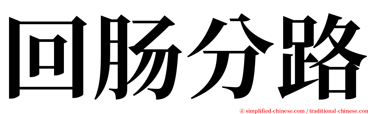 回肠分路 serif font