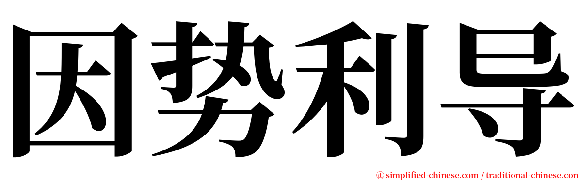 因势利导 serif font