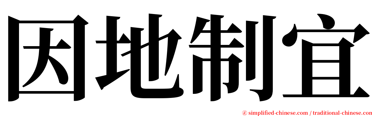 因地制宜 serif font