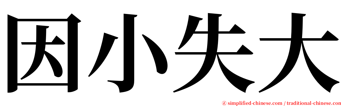 因小失大 serif font