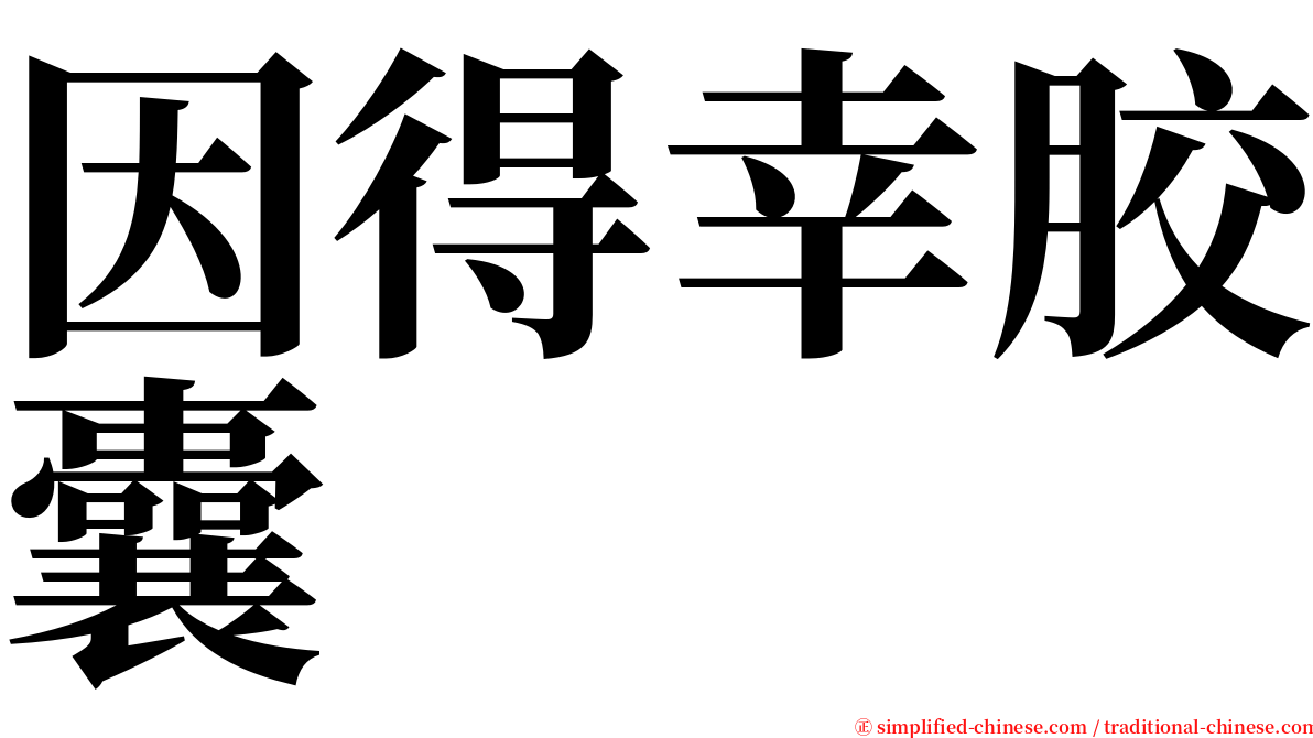 因得幸胶囊 serif font