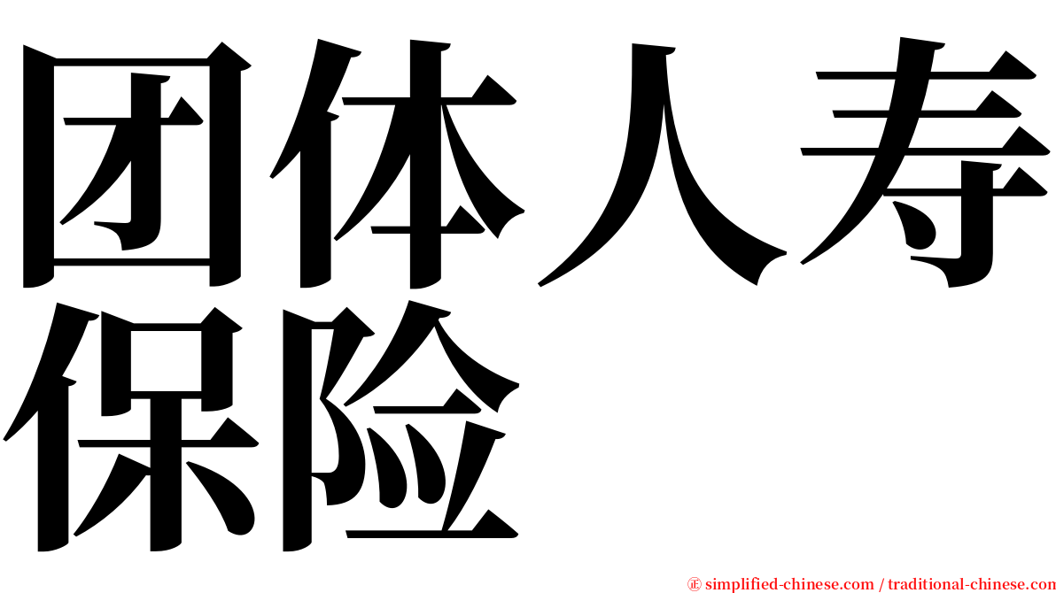 团体人寿保险 serif font