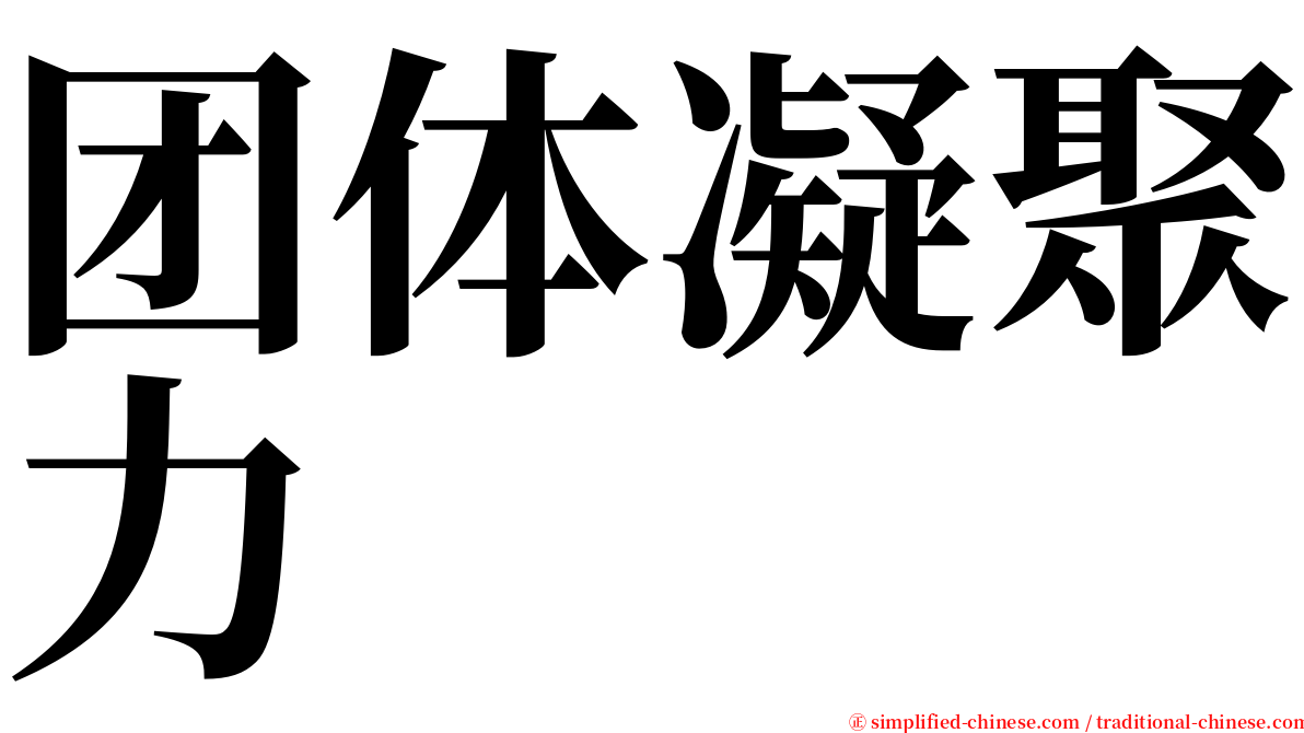 团体凝聚力 serif font