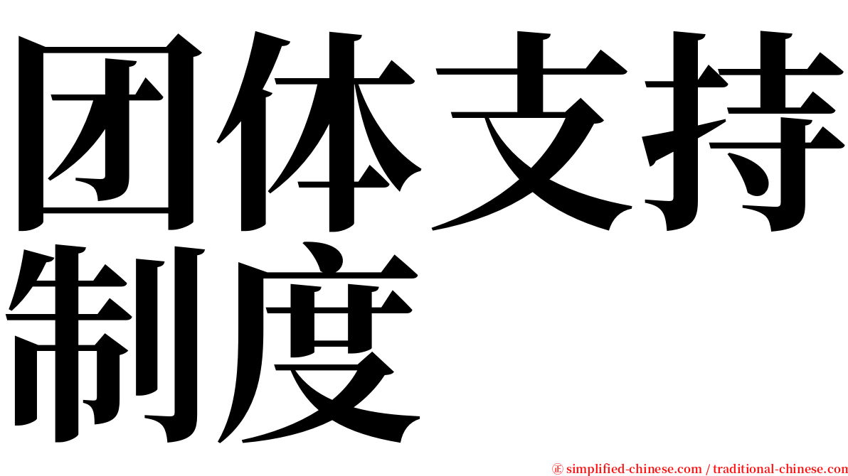 团体支持制度 serif font