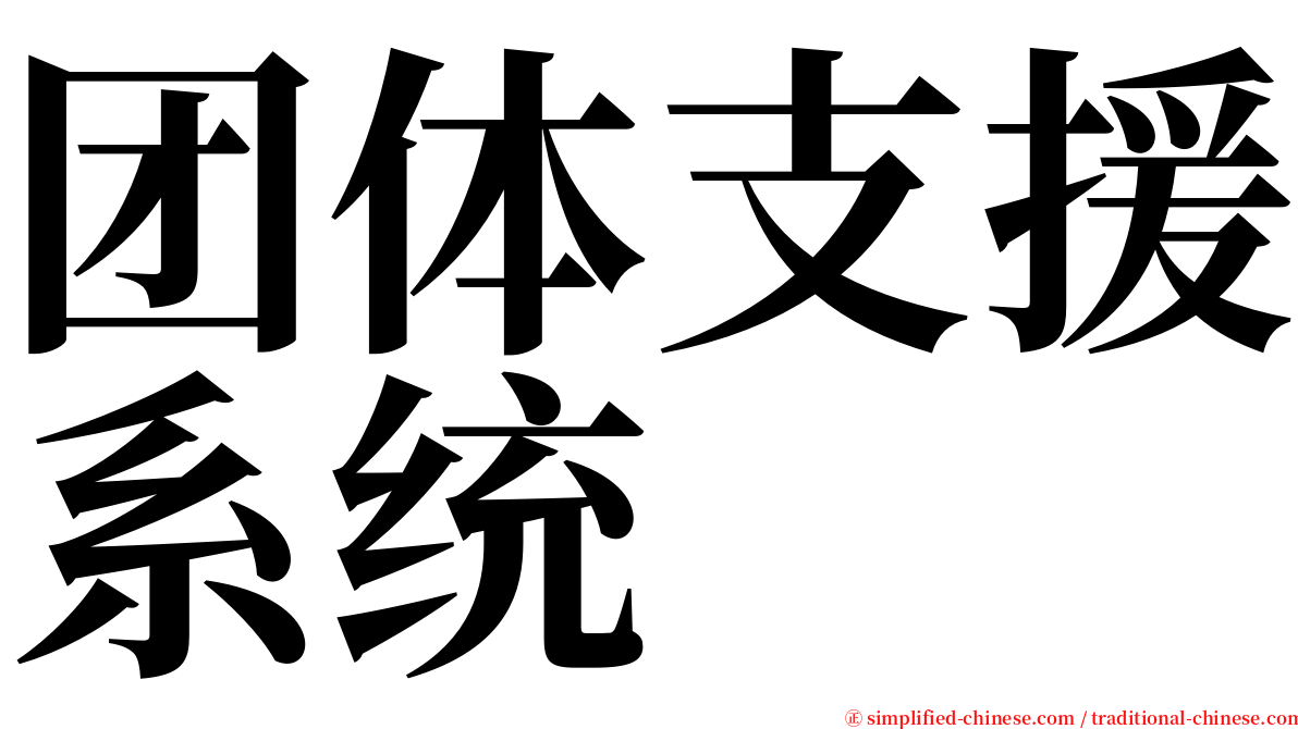 团体支援系统 serif font