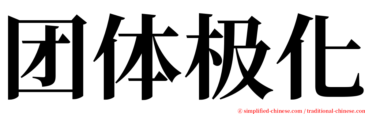 团体极化 serif font