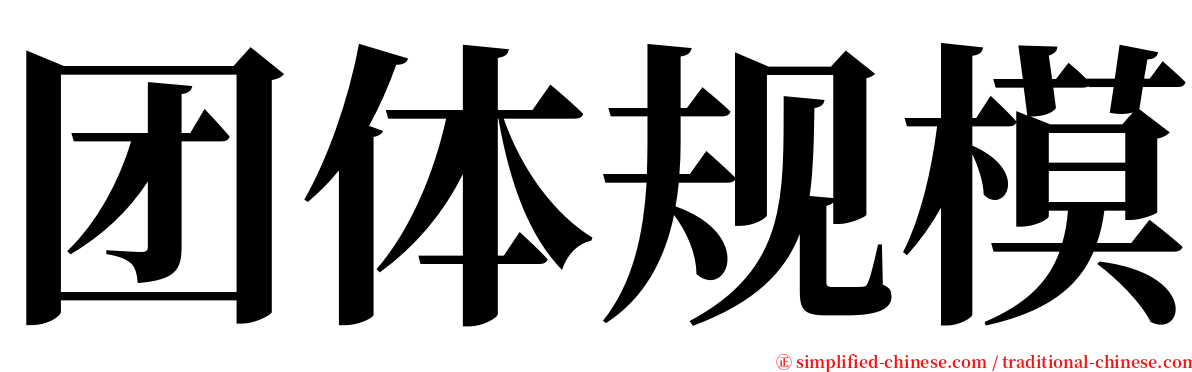 团体规模 serif font