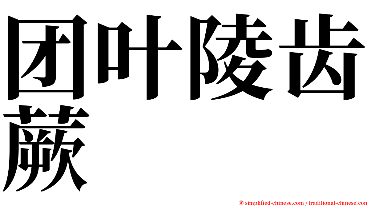 团叶陵齿蕨 serif font