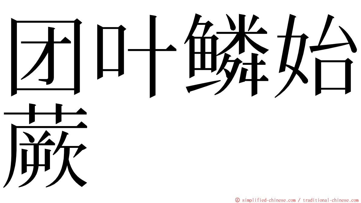 团叶鳞始蕨 ming font