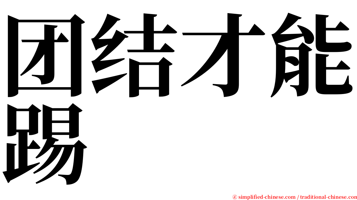 团结才能踢 serif font